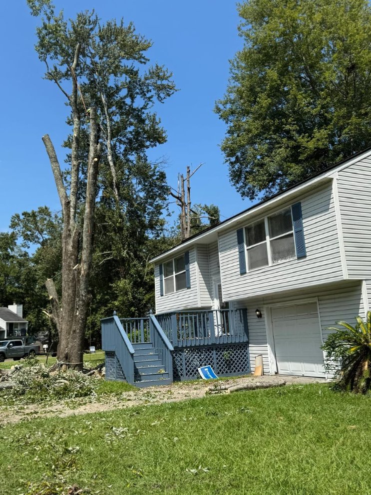 Lion Tree Service and Landscaping LLC project photo 4
